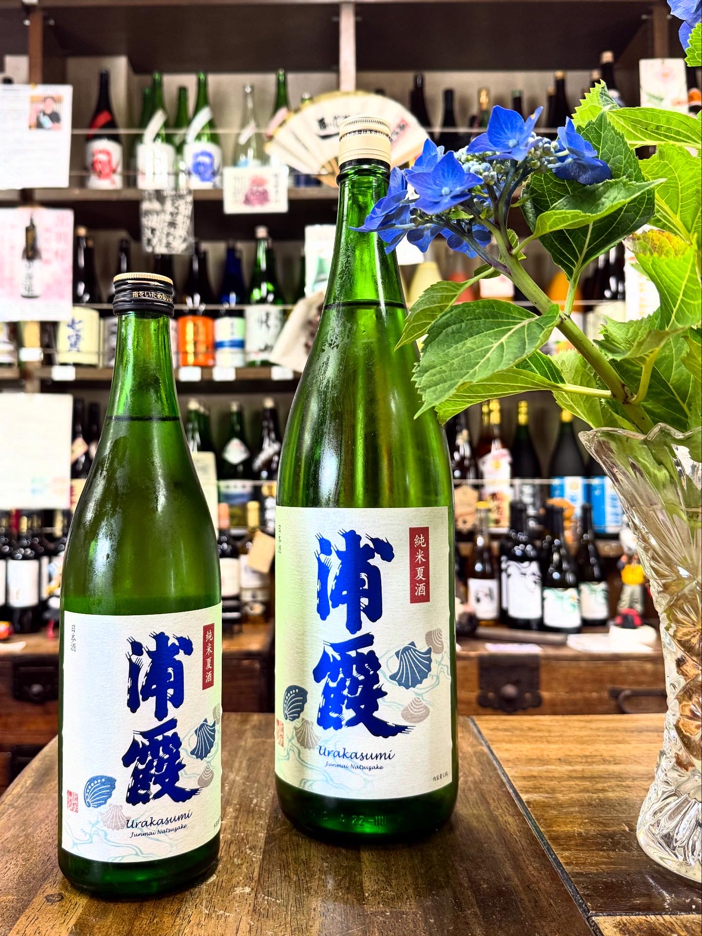 浦霞　純米夏酒