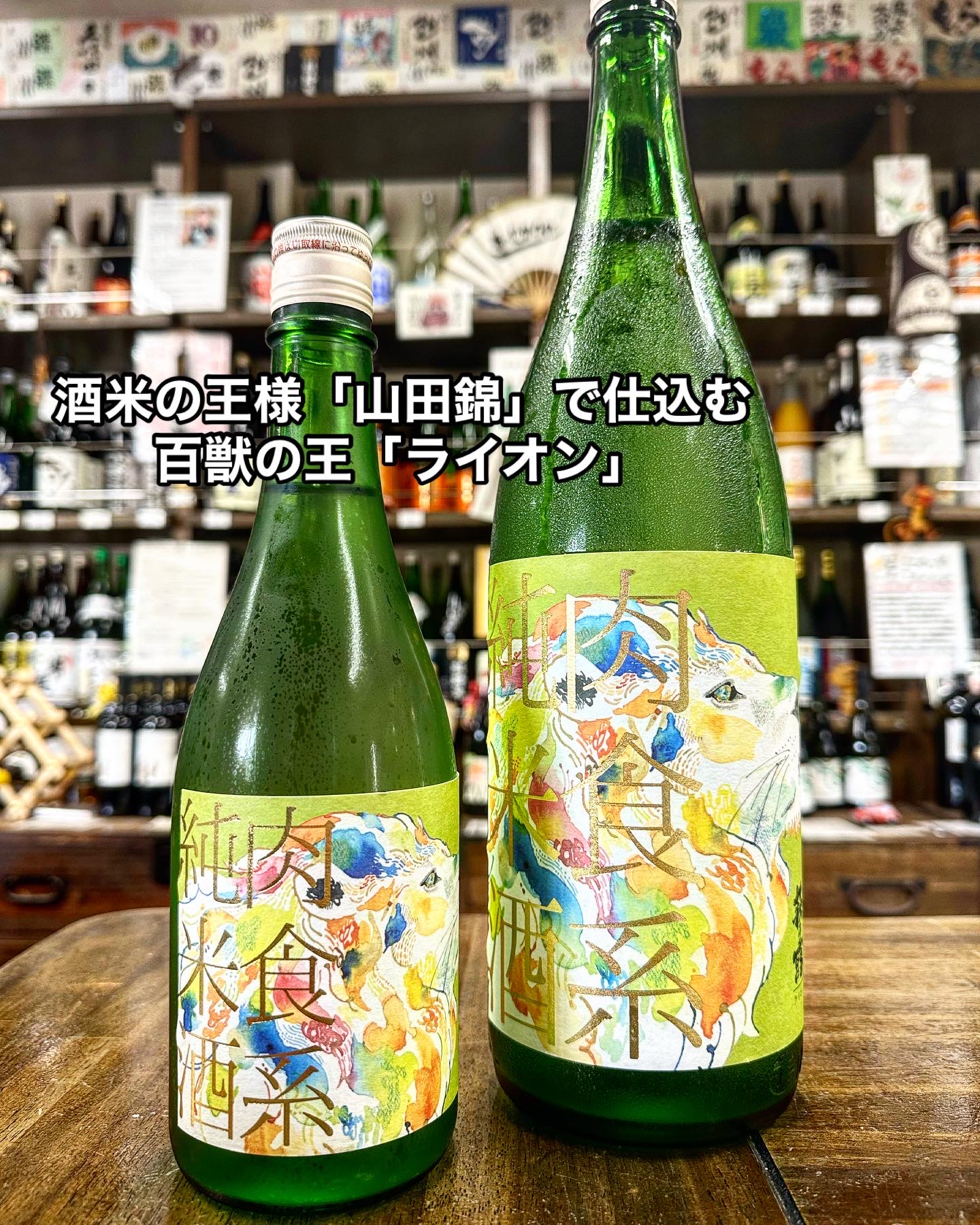 肉食系純米酒「ライオン」どんっっ！！！