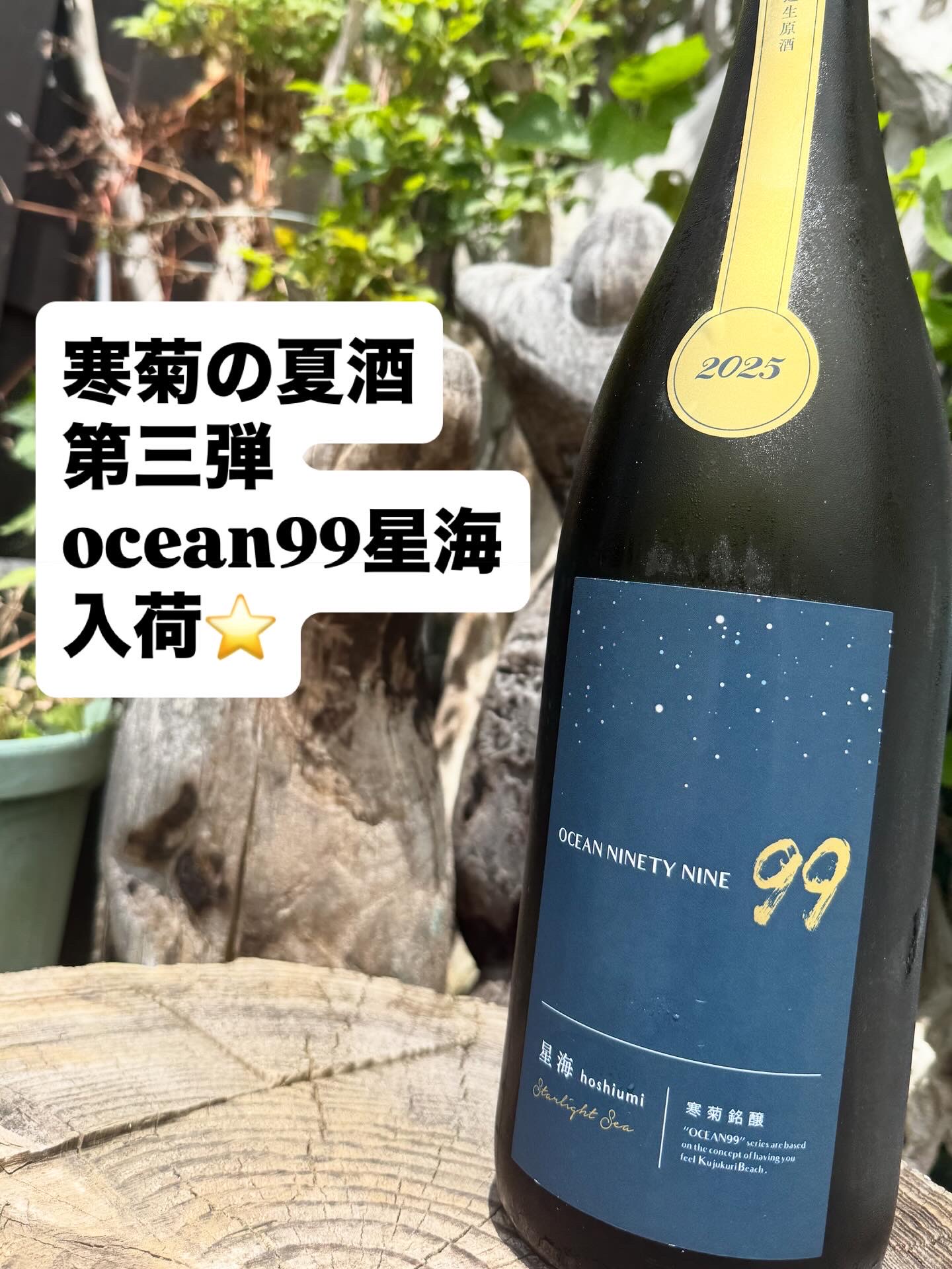 寒菊ocean99 星海 純米大吟醸無濾過生原酒